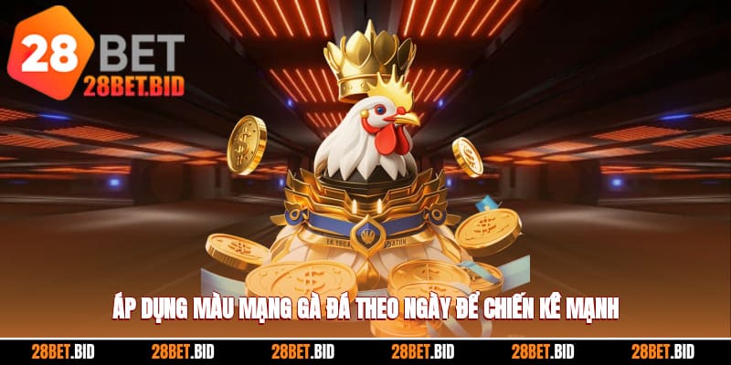 Màu mạng gà đá theo ngày là gì?