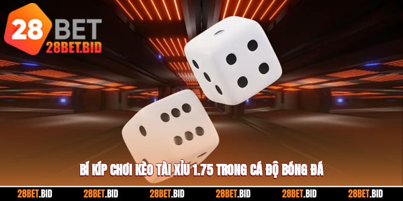 Tài Xỉu 1.75 - Bí Kíp Chơi Kèo Dễ Ăn Khi Cá Độ Bóng Đá