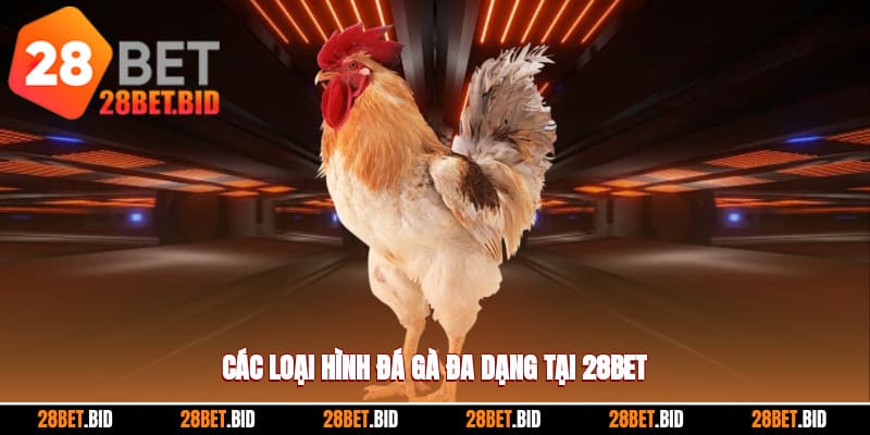 Tổng hợp các loại hình đá gà 28BET điển hình hiện nay