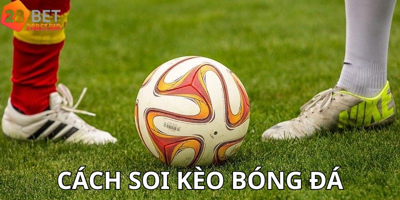Cách Soi Kèo Bóng Đá – Bí Quyết Chuẩn Xác Cho Người Mới Nhập Cuộc