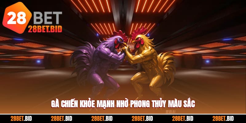 Tầm quan trọng của việc xem màu mạng gà đá theo ngày