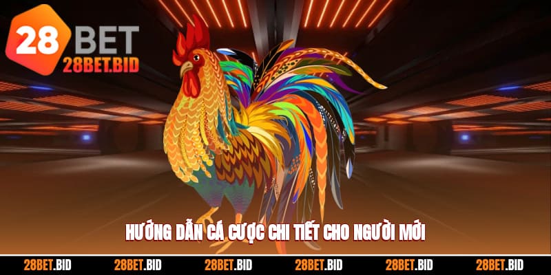 Hướng dẫn newbie các bước chơi cá cược đá gà 28BET thần tốc