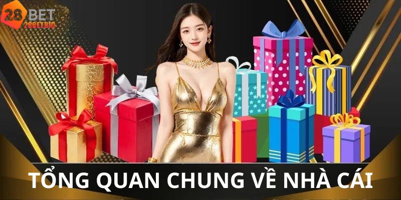 Tổng quan chung về nhà cái